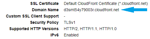 CloudFront domain